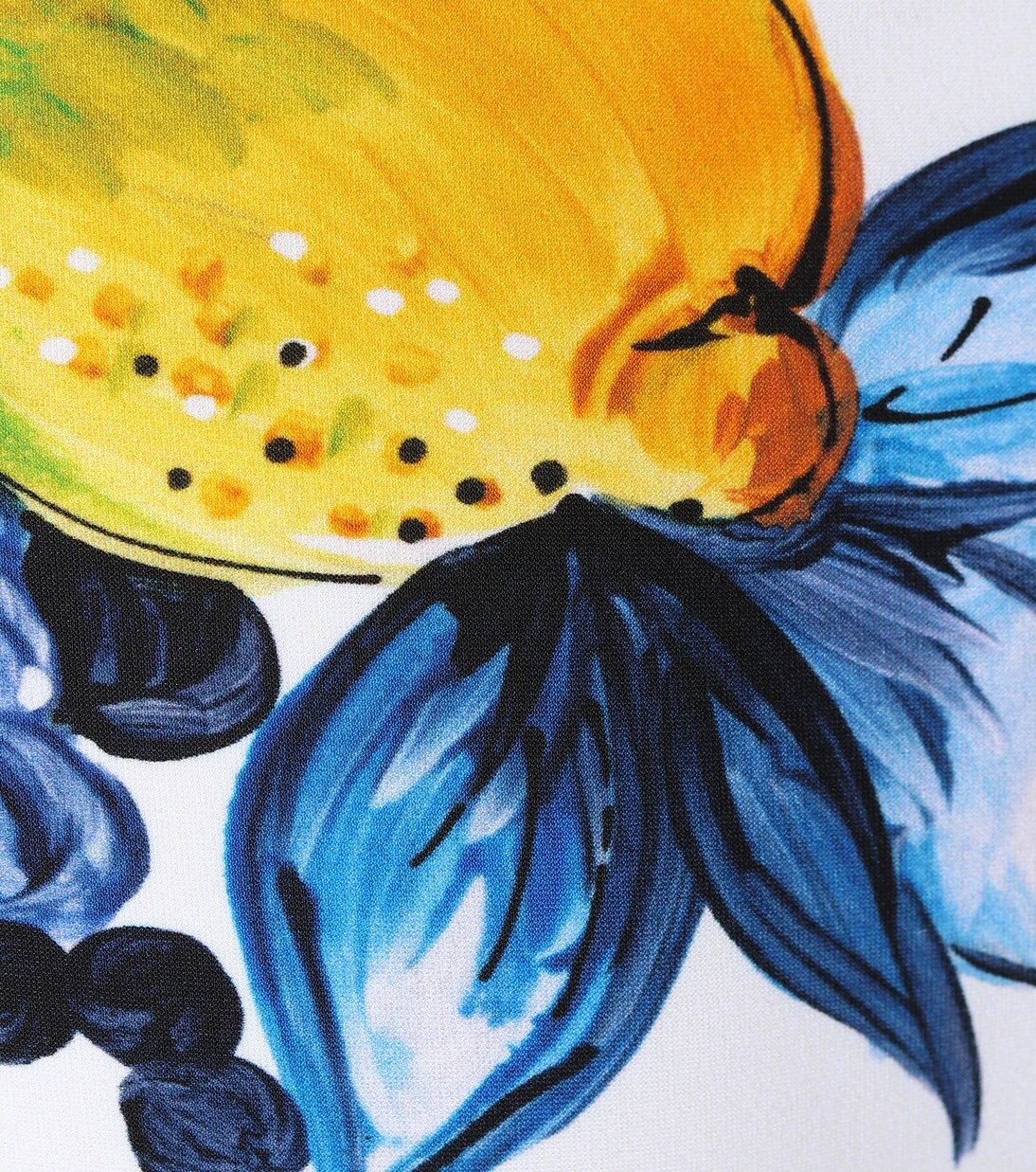 Majolica printed bikini | Dolce&Gabbana