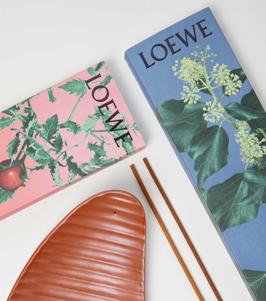 Set di incensi Ivy in ceramica | Loewe Home Scents
