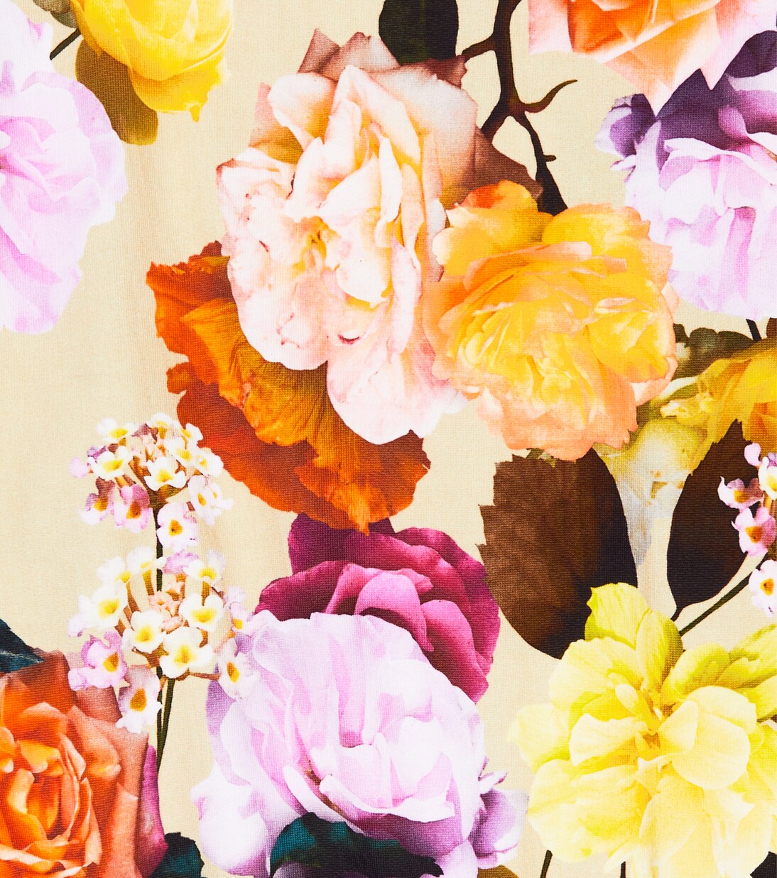 Sweat-shirt Monti en coton à fleurs | Molo