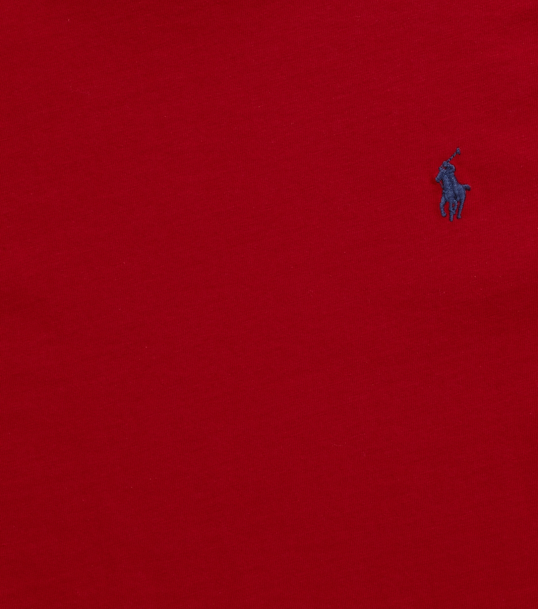 T-shirt brodé en coton | Polo Ralph Lauren Kids