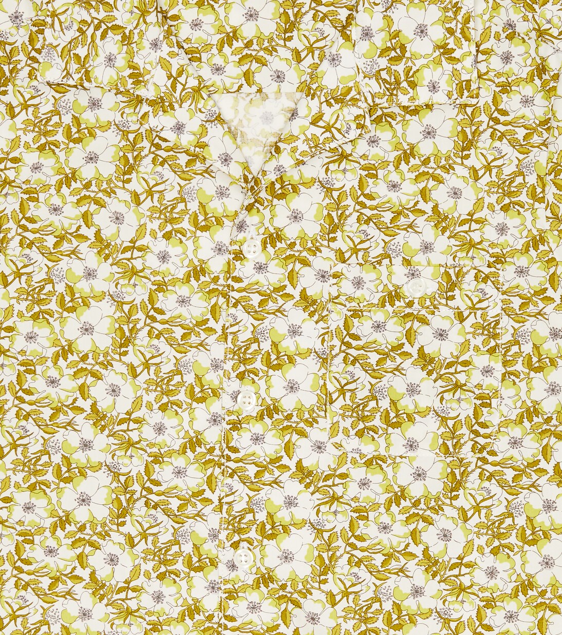 Hemd Steve aus Baumwolle | Bonpoint