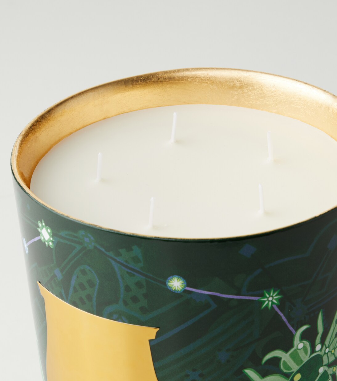 Fir Grande scented candle | Trudon