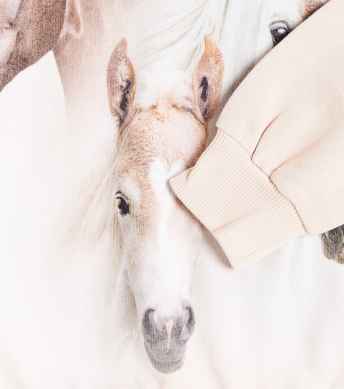 Maxi printed cotton sweatshirt | Molo