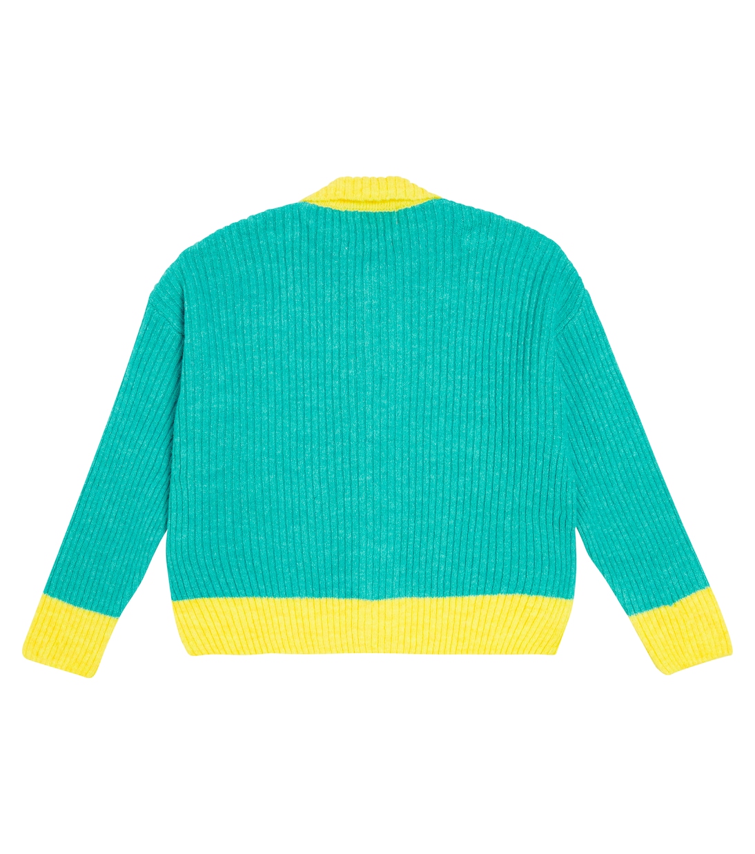 Cárdigan Toucan | The Animals Observatory