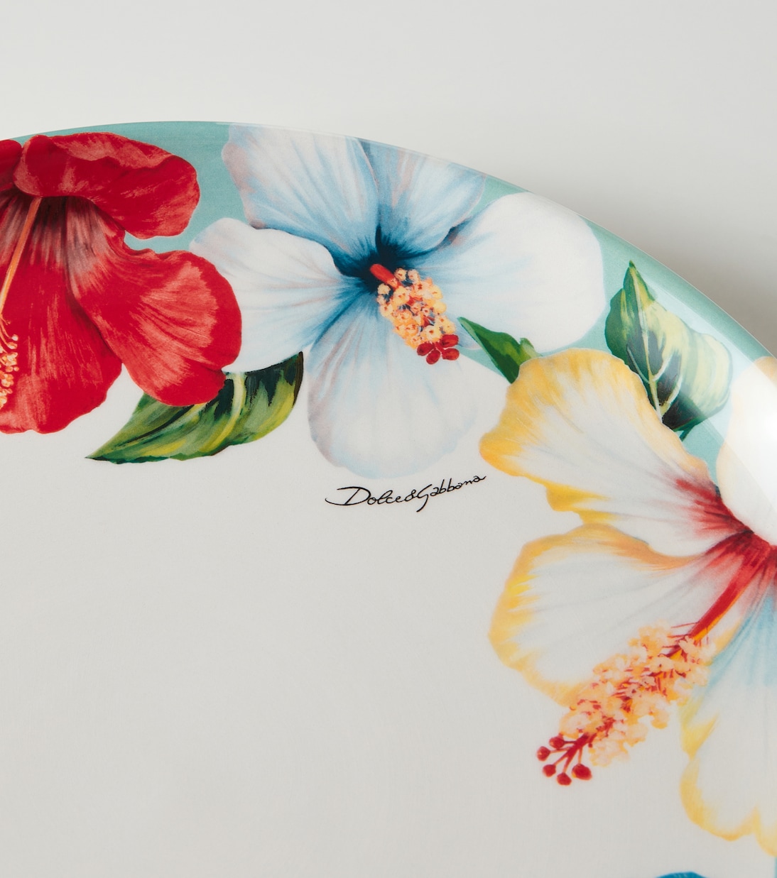 Floral ceramic dinner plate | Dolce&Gabbana Casa