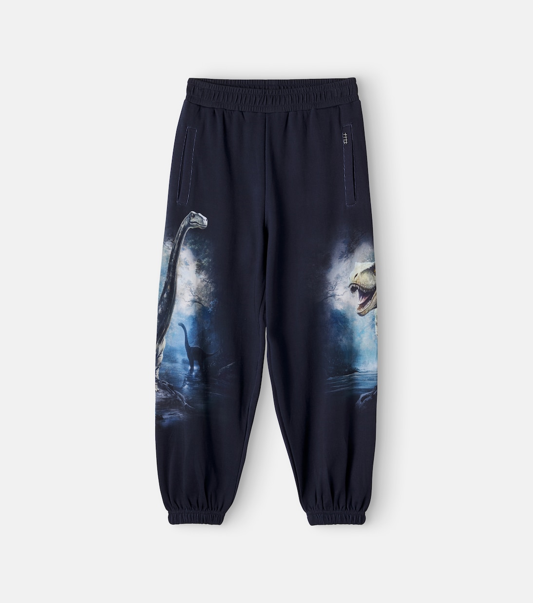Picture 1 out of 4