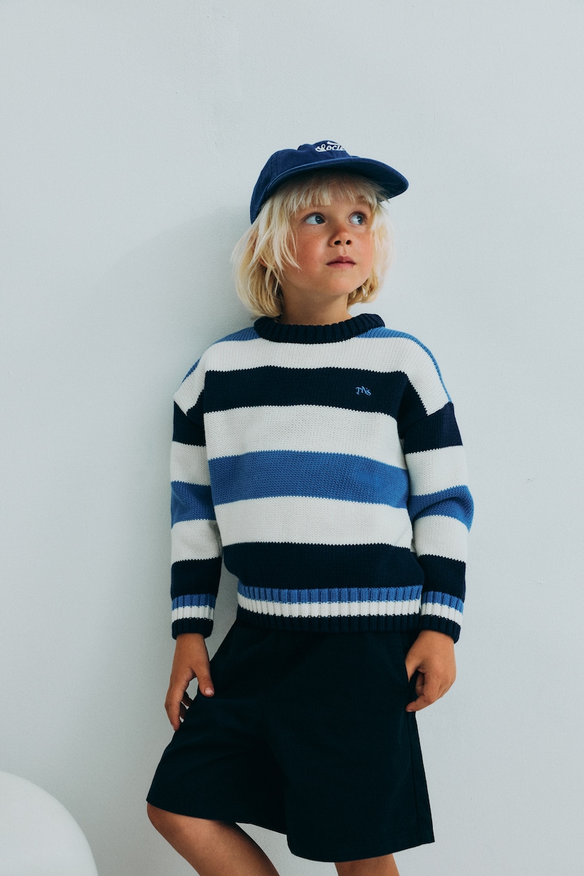 Celosia striped cotton sweater | The New Society