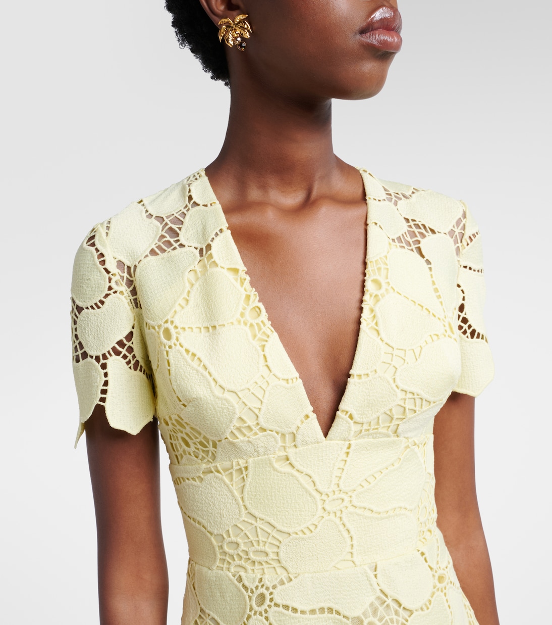 Floral silk-blend guipure midi dress | Elie Saab