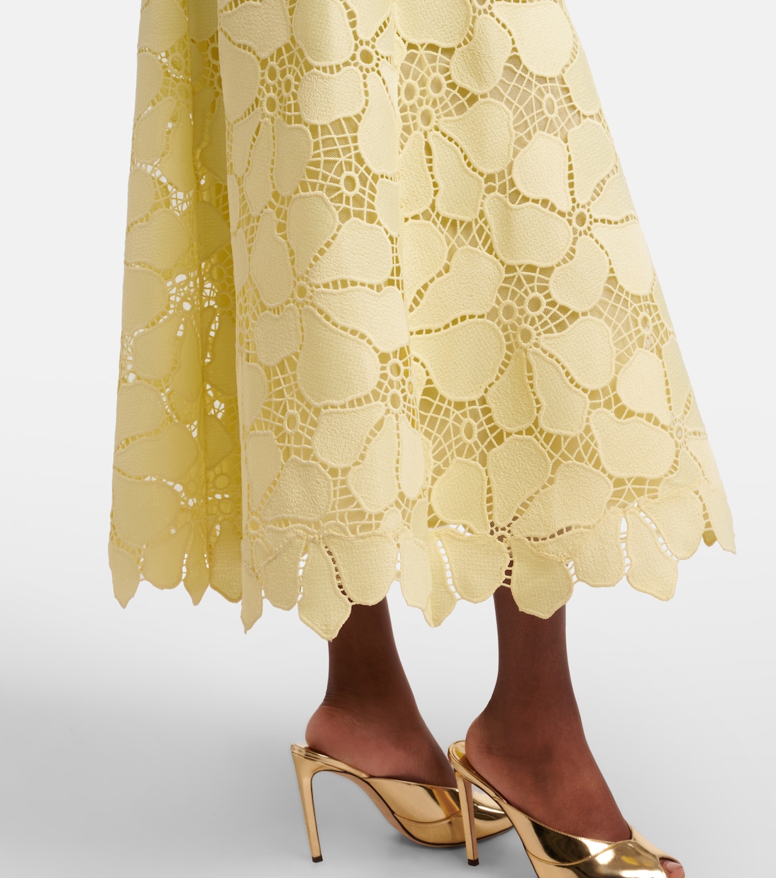 Floral silk-blend guipure midi dress | Elie Saab