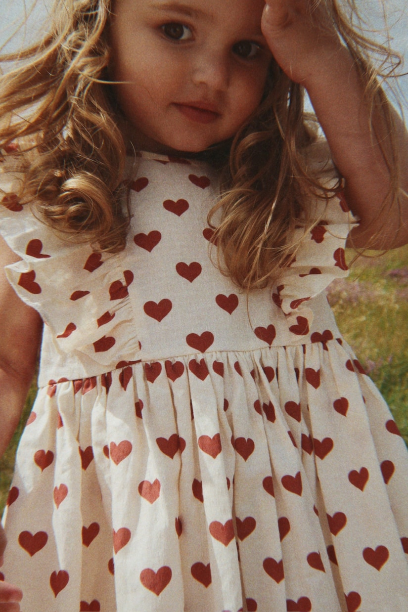 Immagine 5 di 5