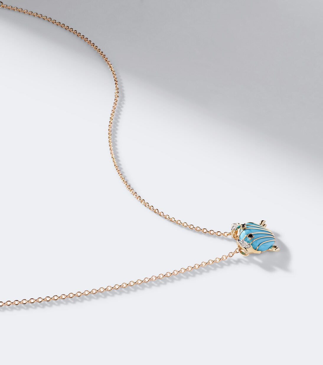 Picture 4 out of 4