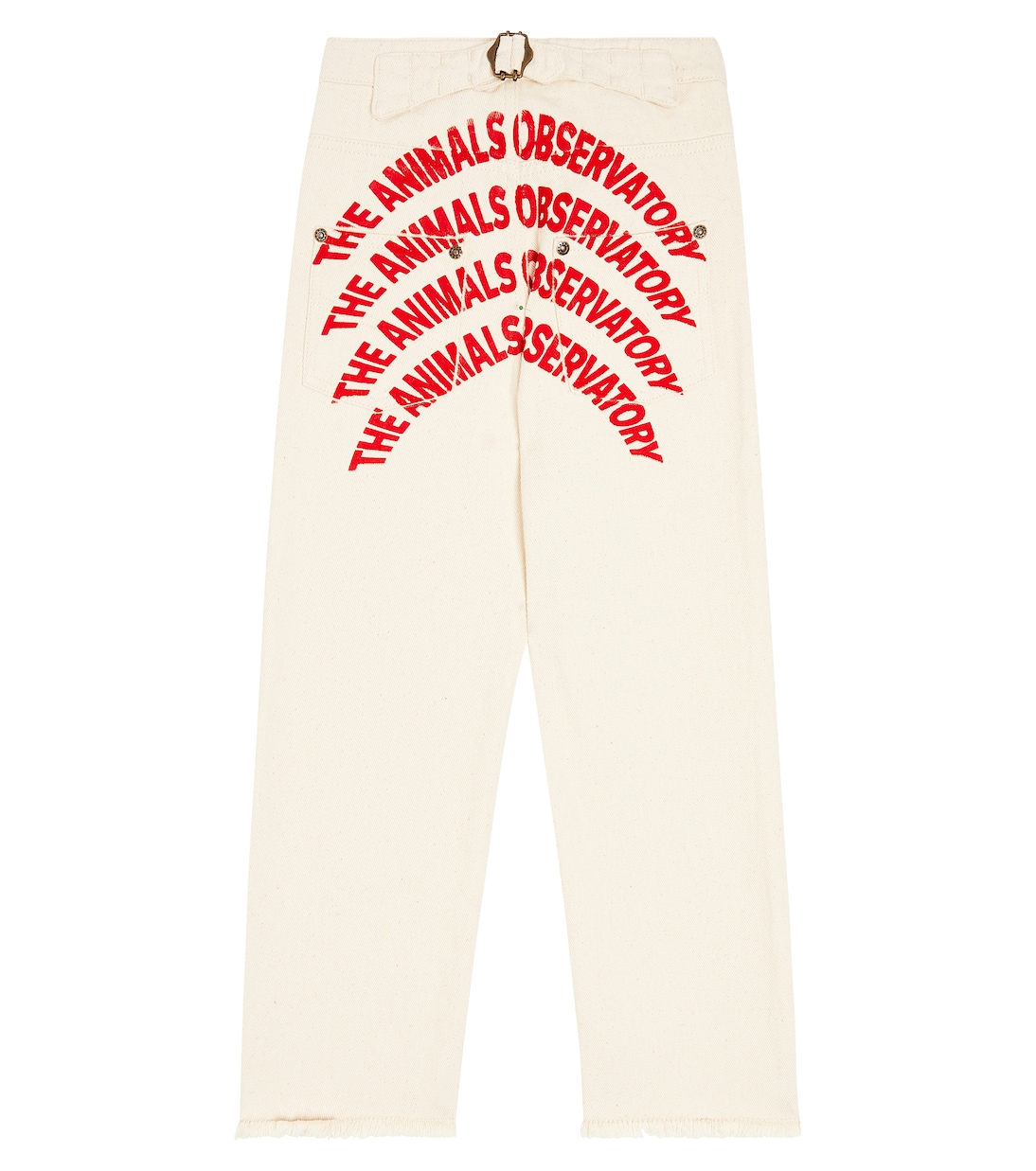 Jeans Ant | The Animals Observatory