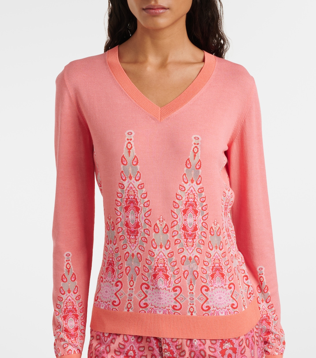 Jersey estampado | Etro