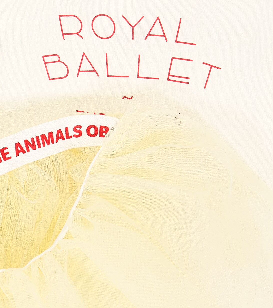 Body e gonna Piranha | The Animals Observatory