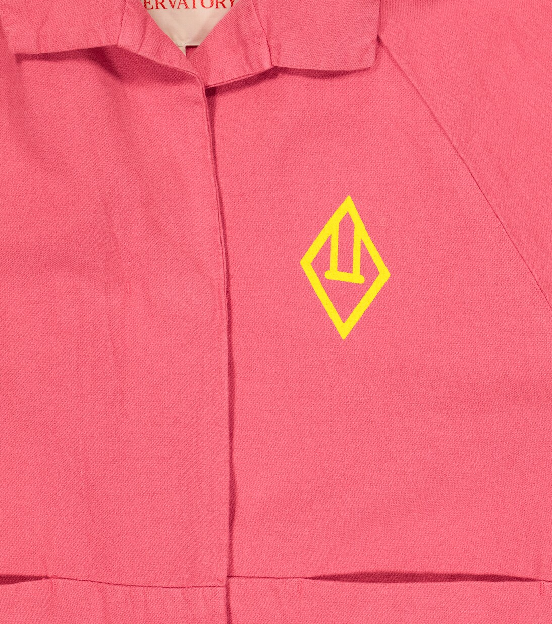 Lion logo cotton and linen shirt | The Animals Observatory