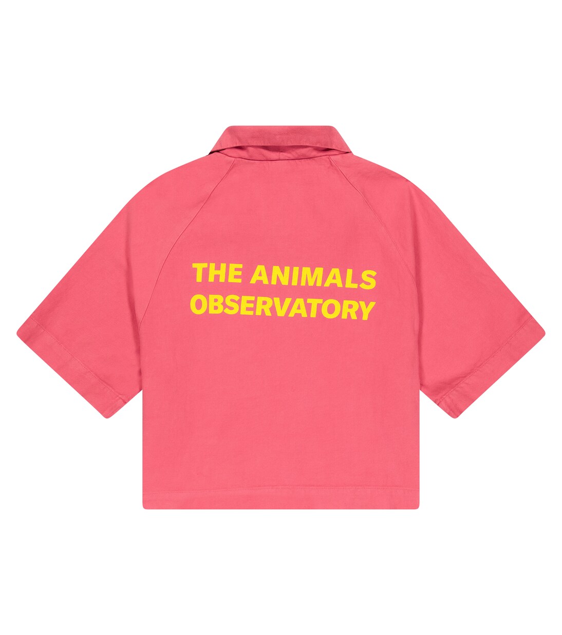 Lion logo cotton and linen shirt | The Animals Observatory