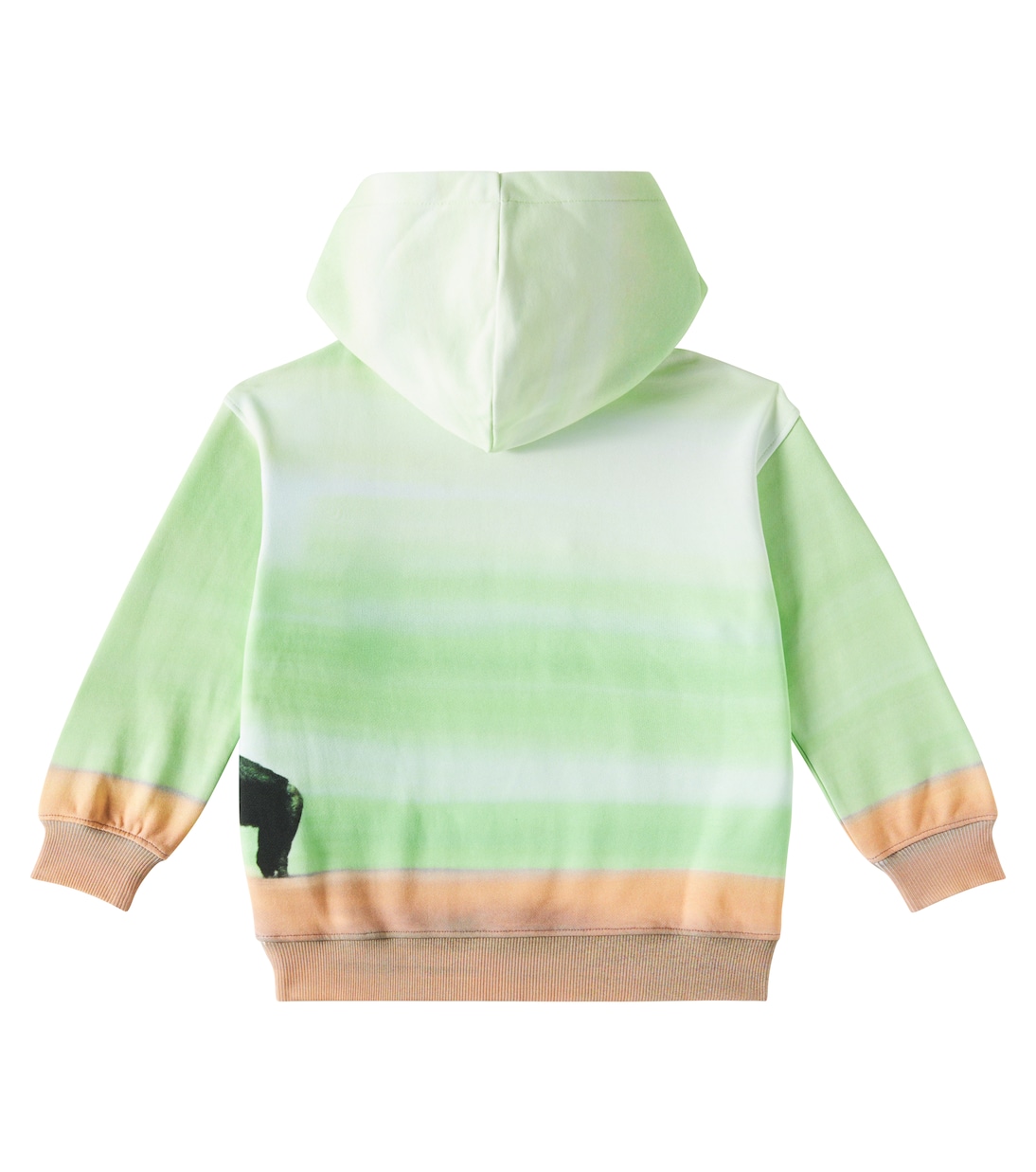Hoodie aus Baumwoll-Jersey | Moschino Kids