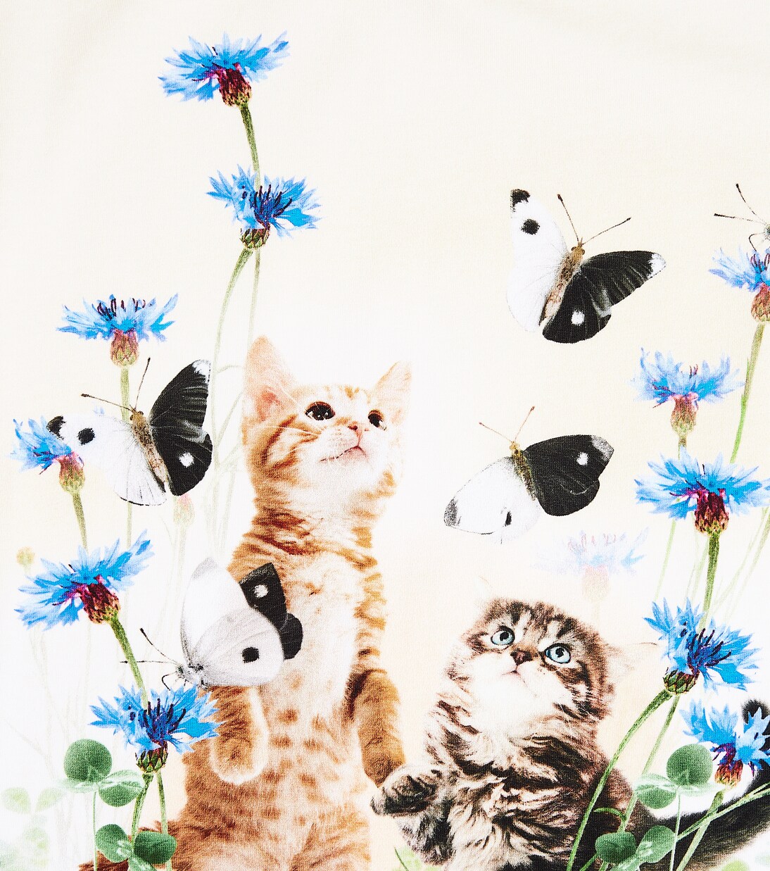 Camiseta Ragnhilde de mezcla de algodón | Molo