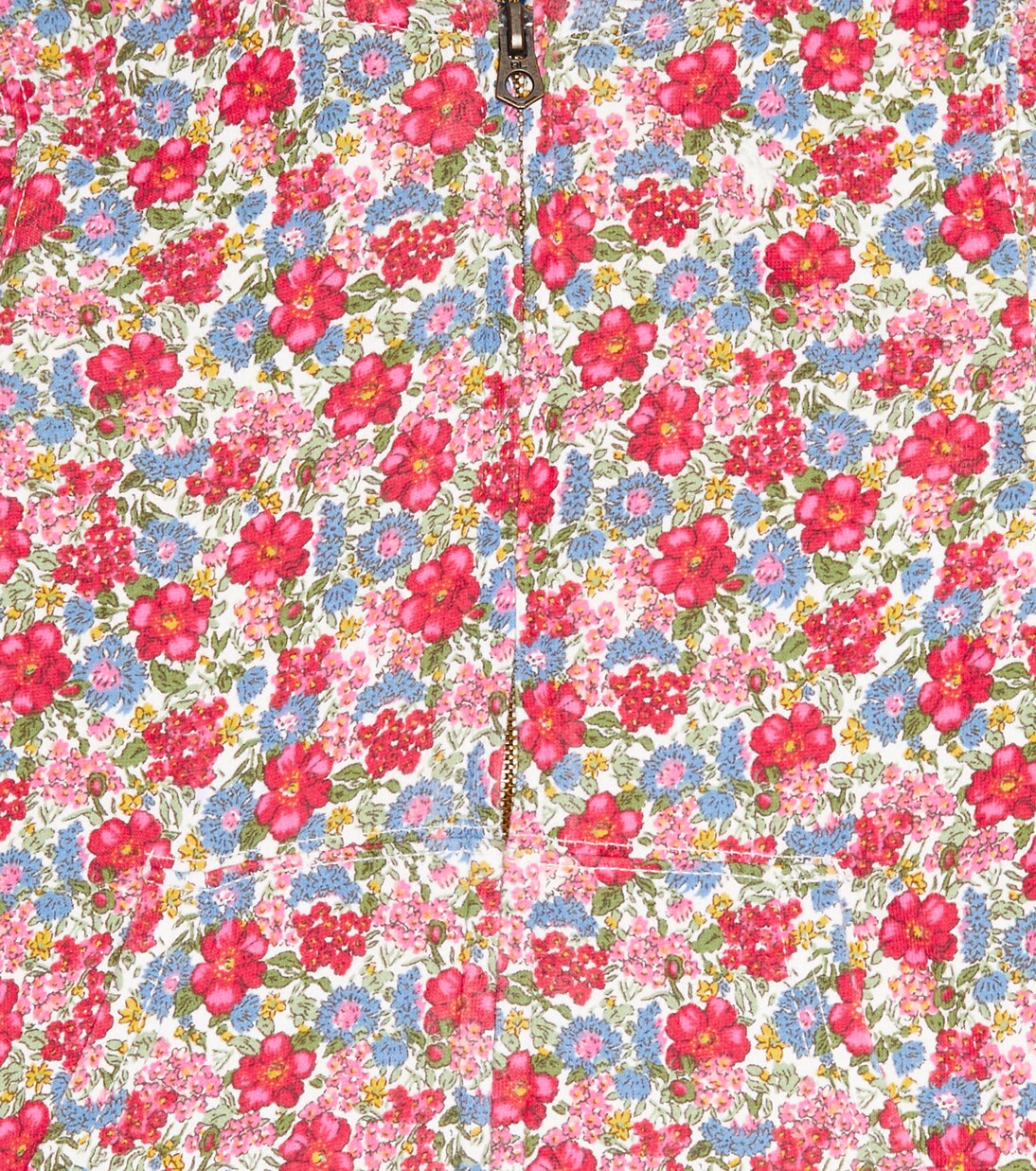 Sweat-shirt à capuche en coton à fleurs | Polo Ralph Lauren Kids