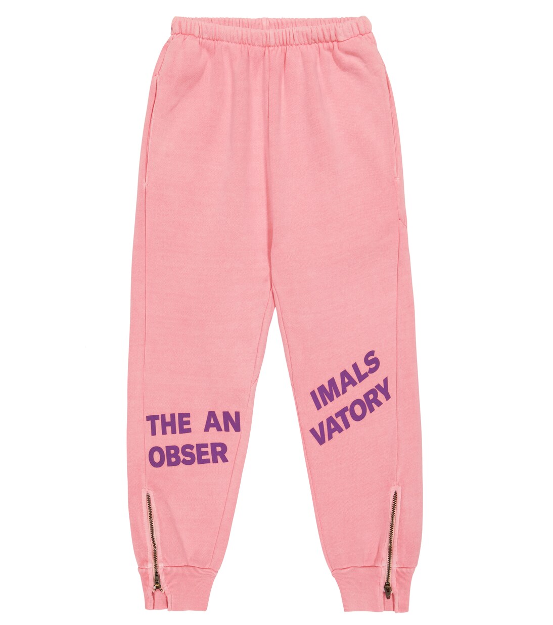 Panther printed cotton sweatpants | The Animals Observatory