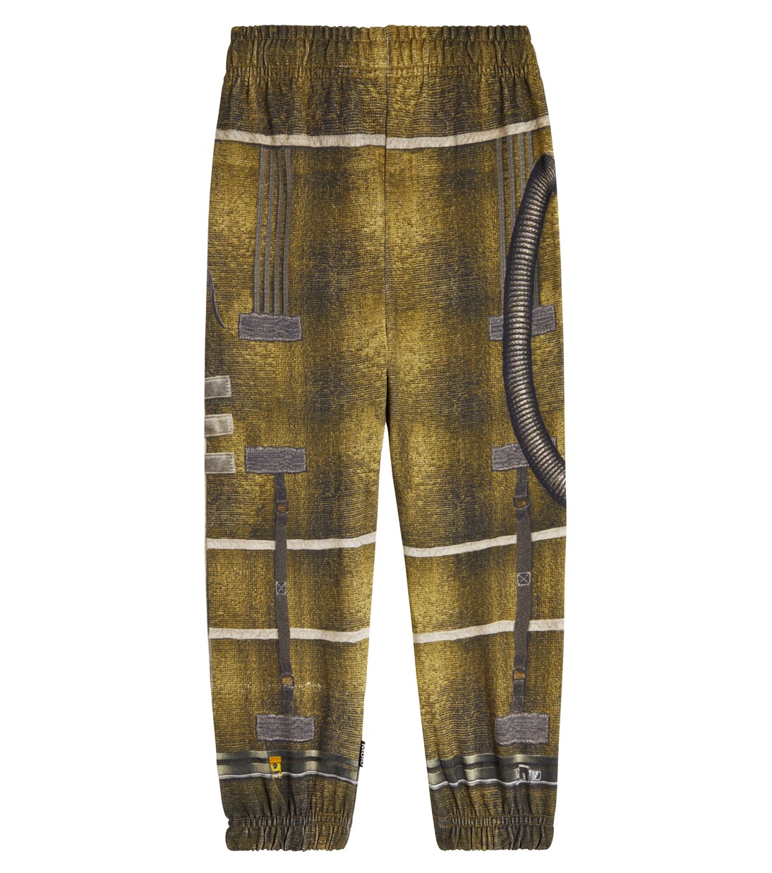 Am printed cotton sweatpants | Molo