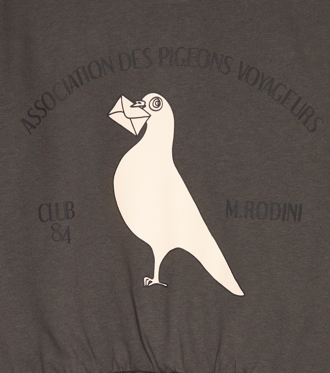 Pigeons cotton jersey sweatshirt | Mini Rodini