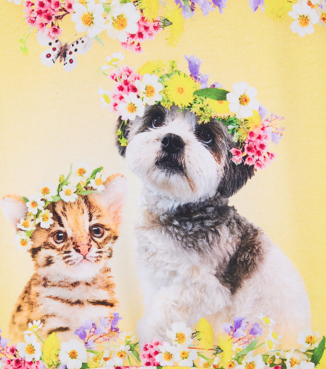 Maxi printed cotton sweatshirt | Molo