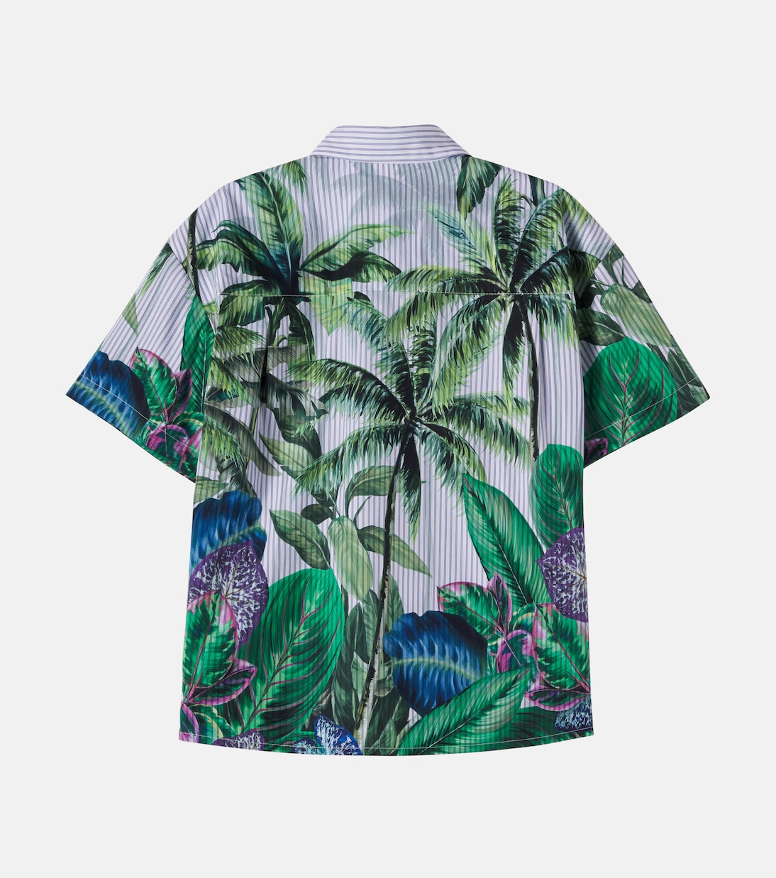Bedrucktes Hemd aus Baumwolle | Dolce&Gabbana Kids