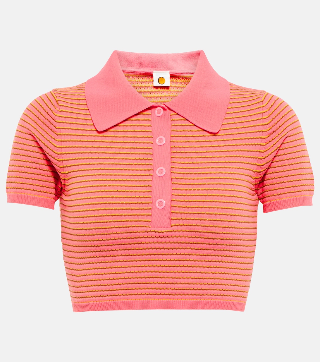 Cropped-Top Sierra | Tropic of C