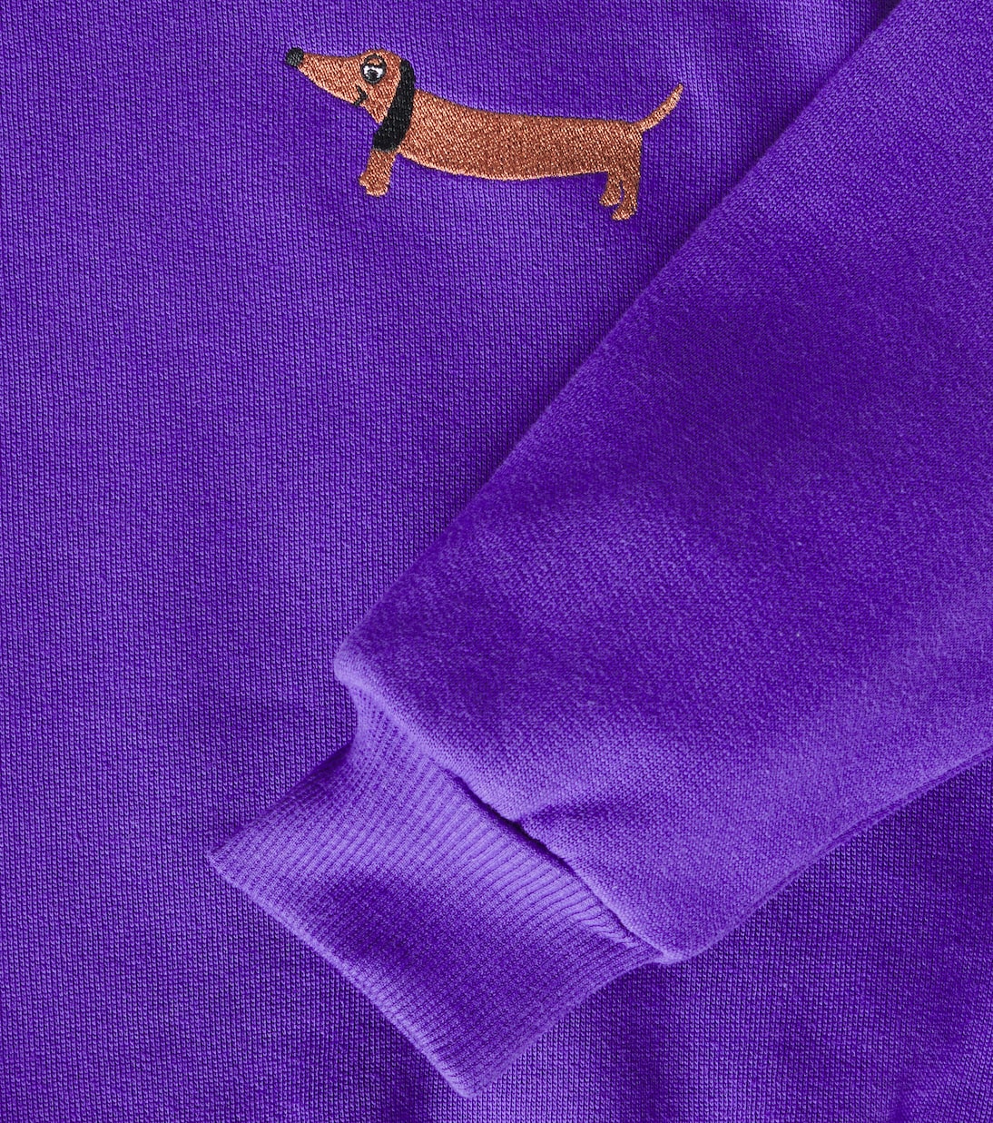 Embroidered cotton jersey sweatshirt | Mini Rodini