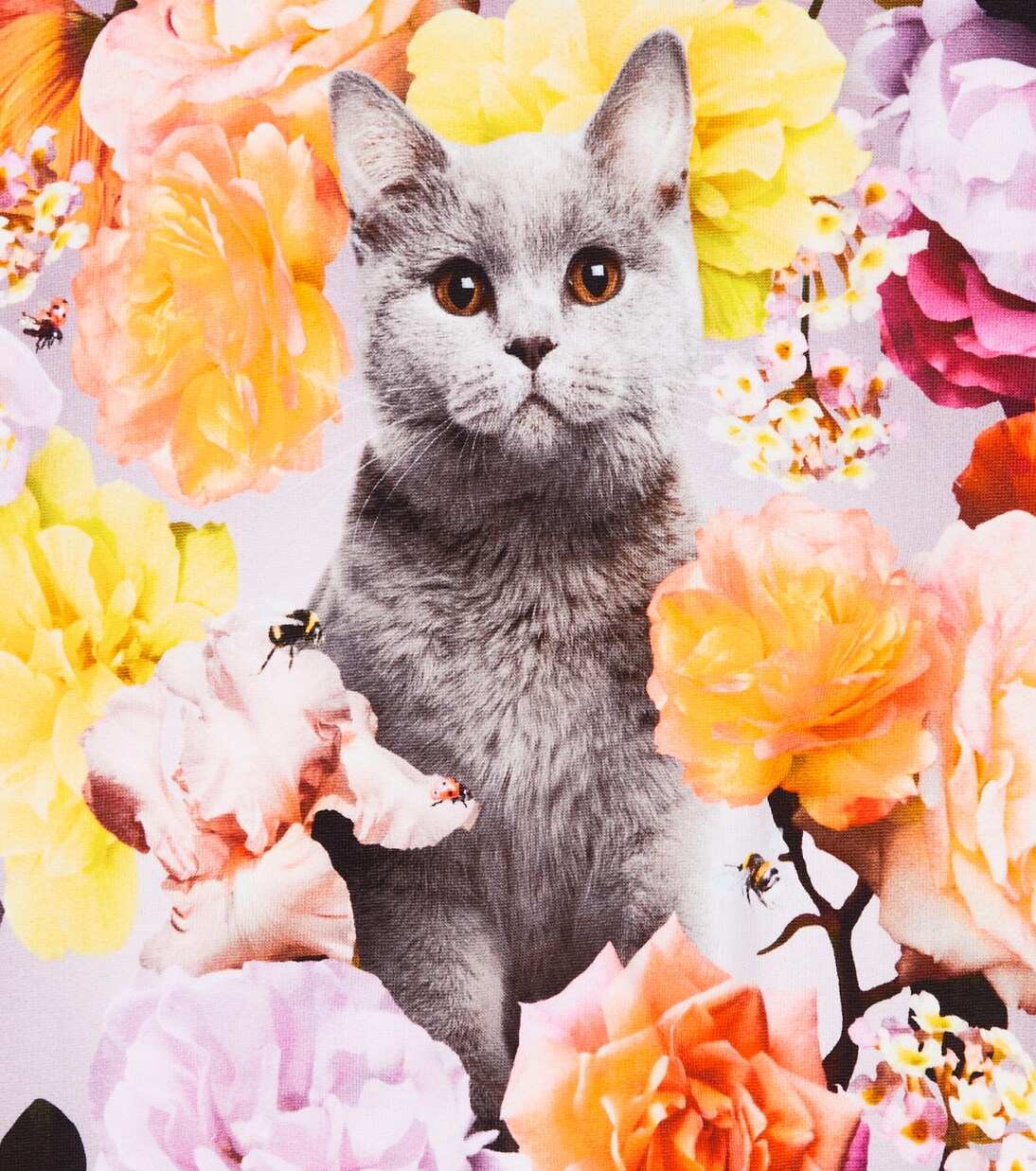 Sweat-shirt Maxi imprimé en coton | Molo