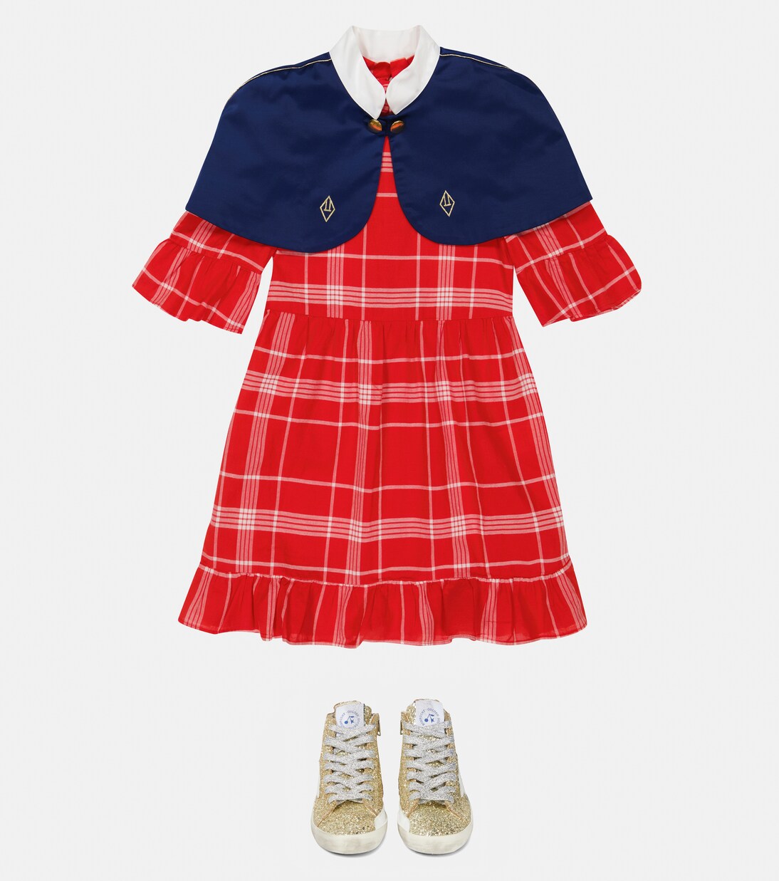 Cape Armadillo | The Animals Observatory