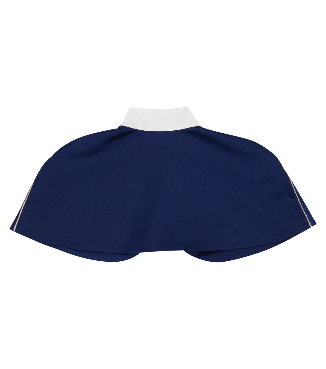 Cape Armadillo | The Animals Observatory