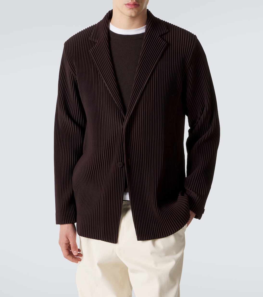 Tailored Pleats 2 blazer | Homme Plissé Issey Miyake