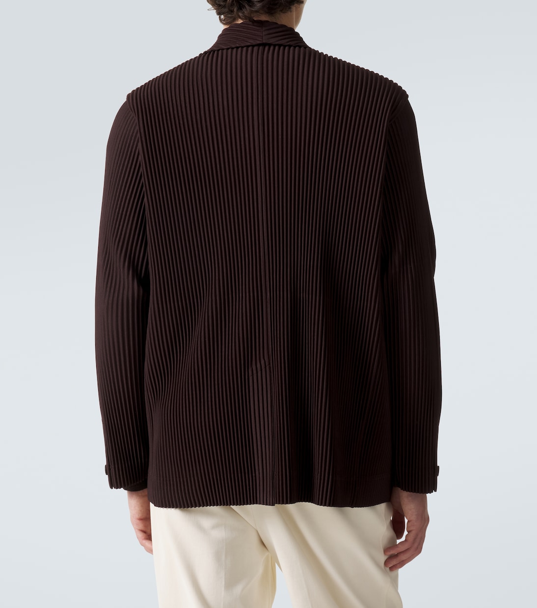 Tailored Pleats 2 blazer | Homme Plissé Issey Miyake