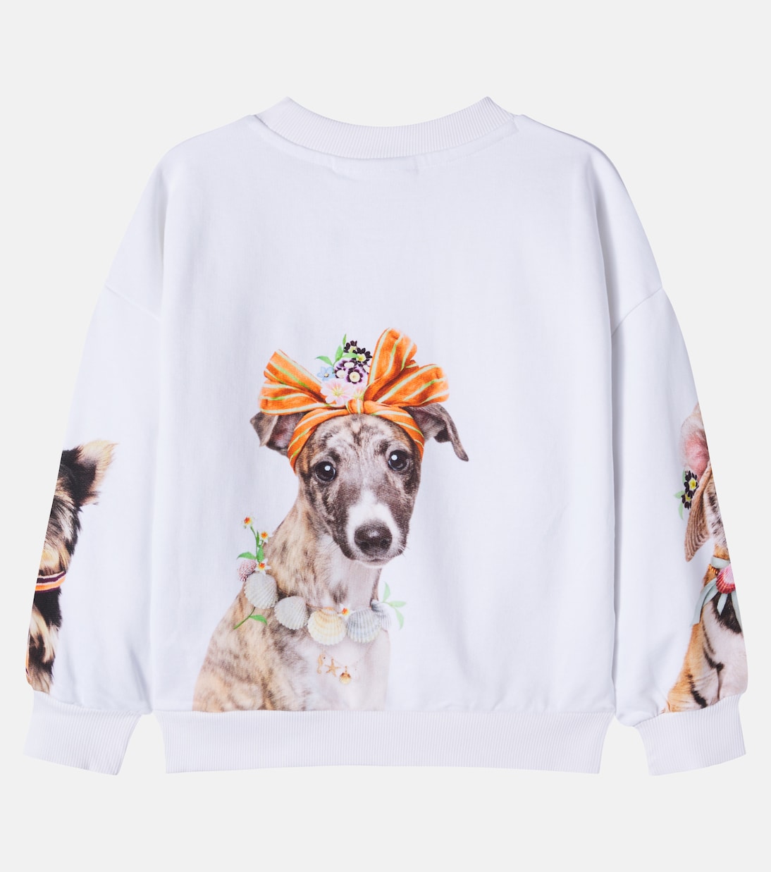 Maxi printed cotton jersey sweatshirt | Molo