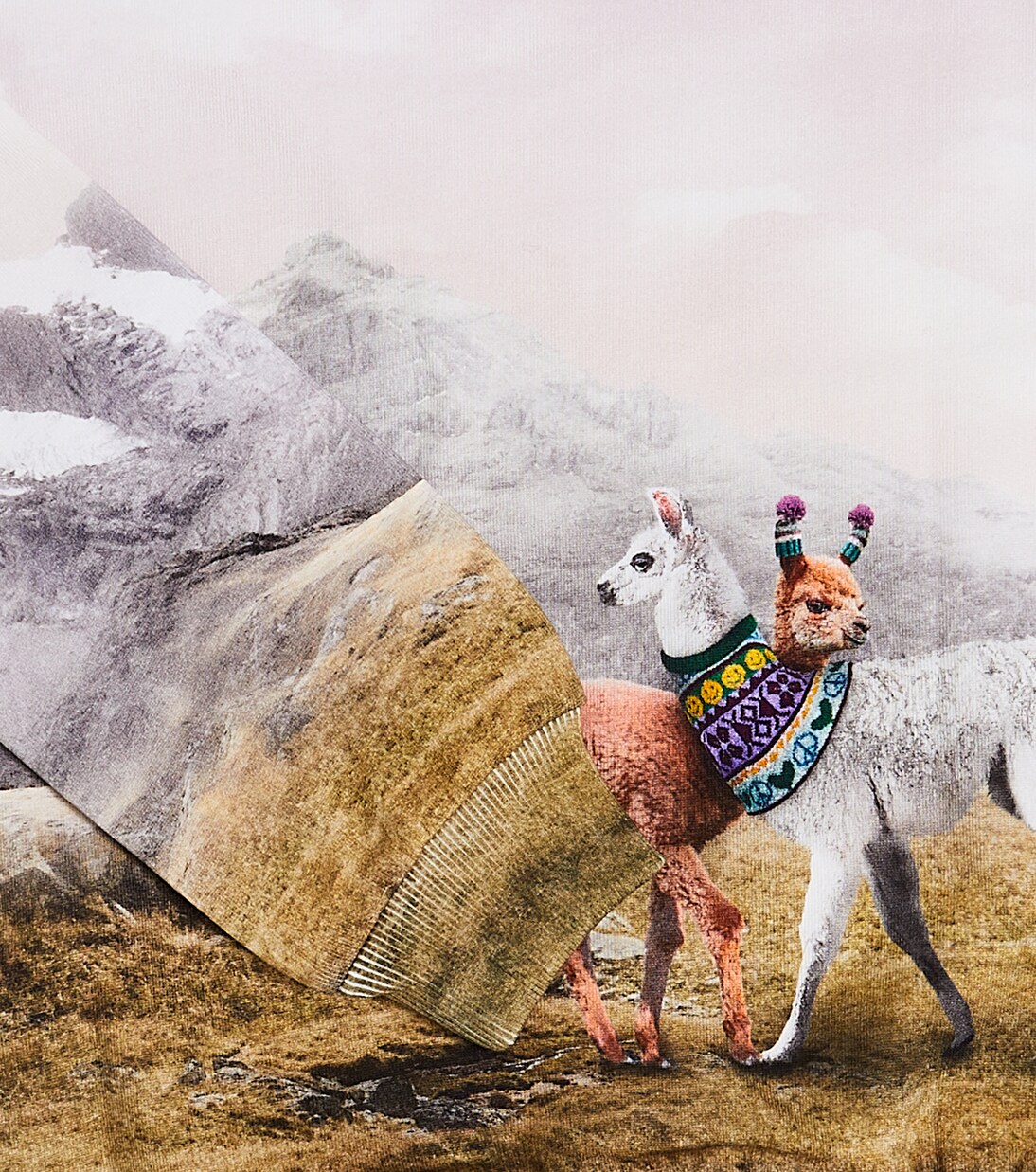 Sweat-shirt Maxi imprimé en coton | Molo