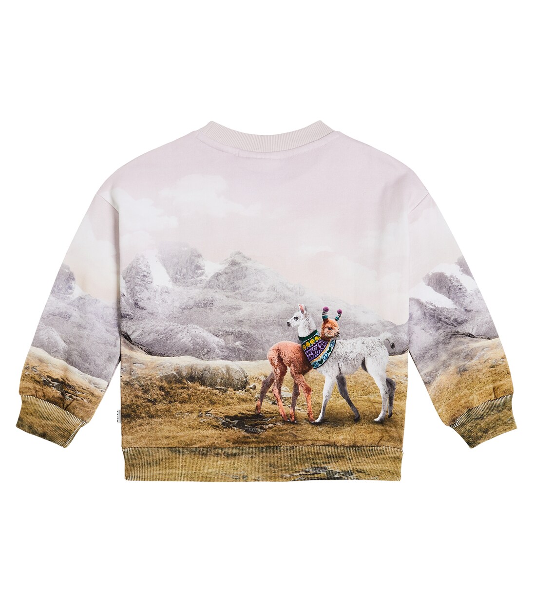 Sweat-shirt Maxi imprimé en coton | Molo