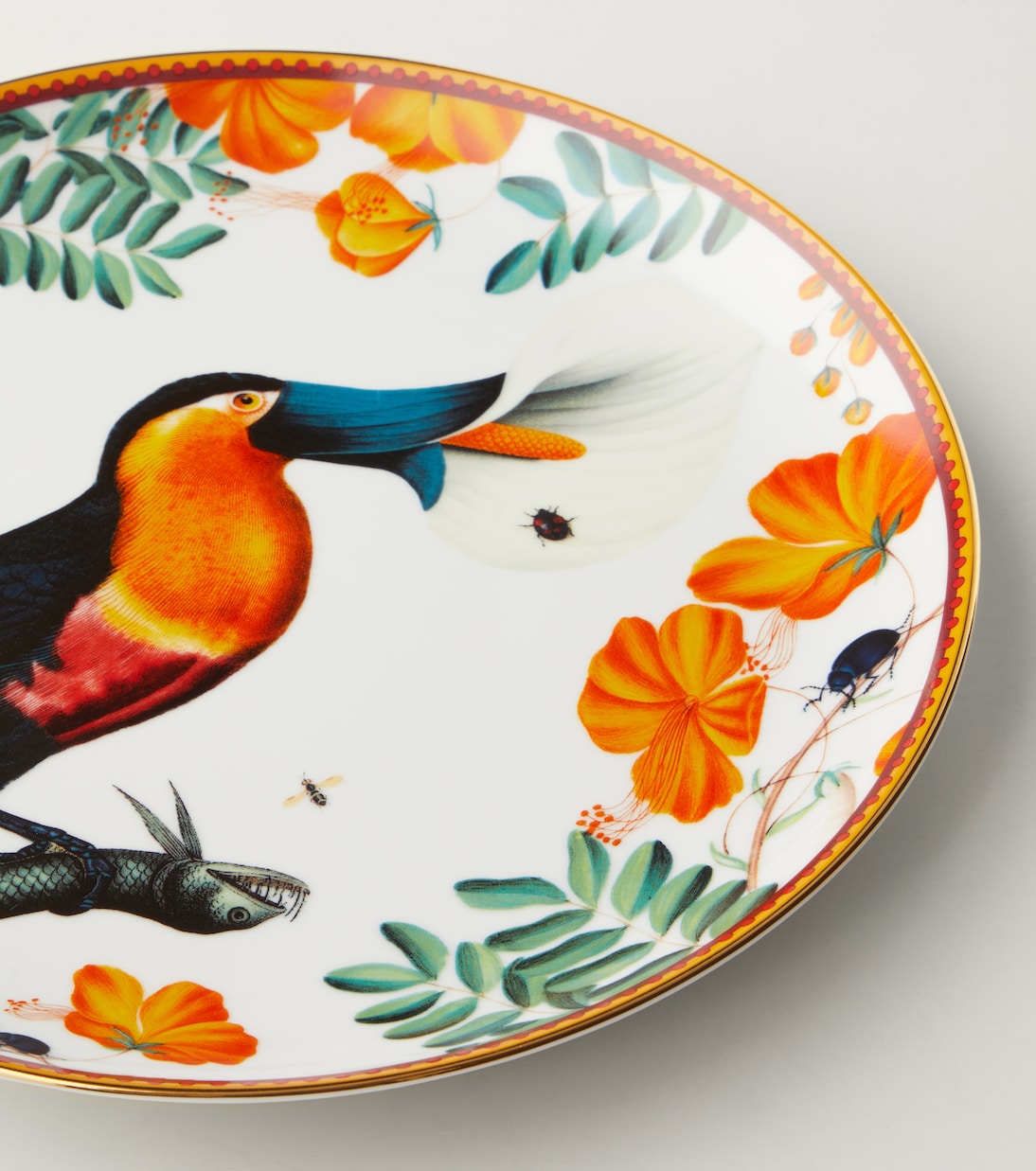 Assiette décorative Floroucan en porcelaine | La DoubleJ