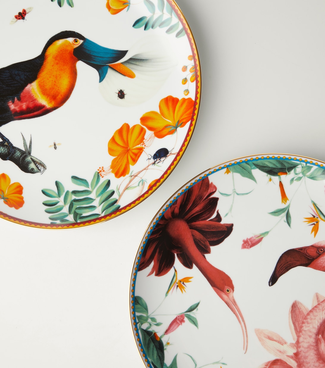 Assiette décorative Floroucan en porcelaine | La DoubleJ