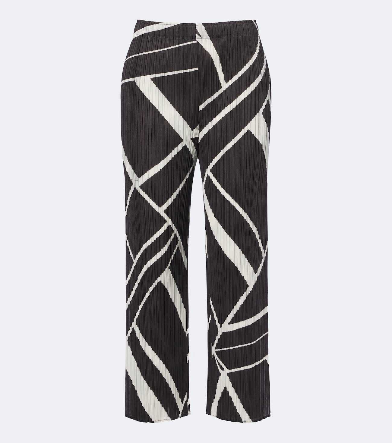 Fold Line pleated printed wide-leg pants