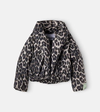 Jacke Heylee | Molo