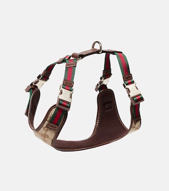 S/M GG canvas dog harness | Gucci