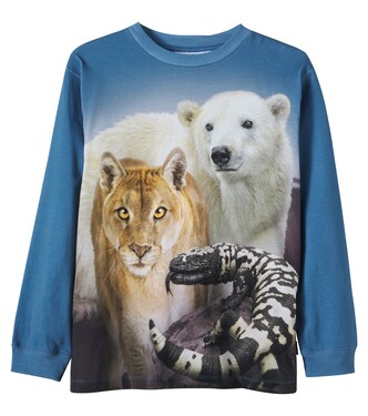 Rube cotton jersey T-shirt | Molo