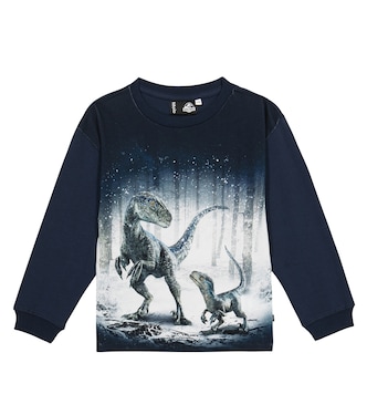 Rube printed cotton sweatshirt | Molo