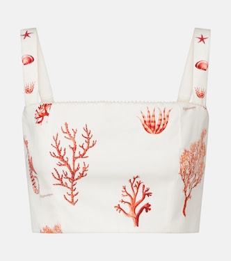 Cropped-Top Cacao aus Baumwolle | Agua by Agua Bendita