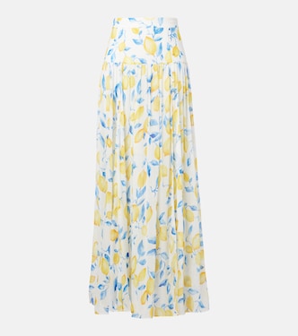 Jamie sheer maxi skirt | Alexandra Miro