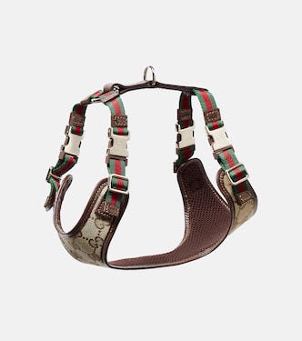 Harnais pour chien XS en toile GG | Gucci