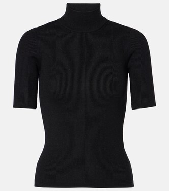Jersey de cuello alto Alce | Max Mara