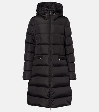 Avocette down coat | Moncler